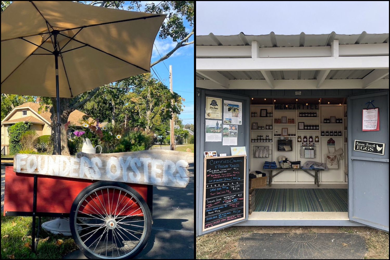 Founders Oyster Farm and Browder's Birds Farm Stands