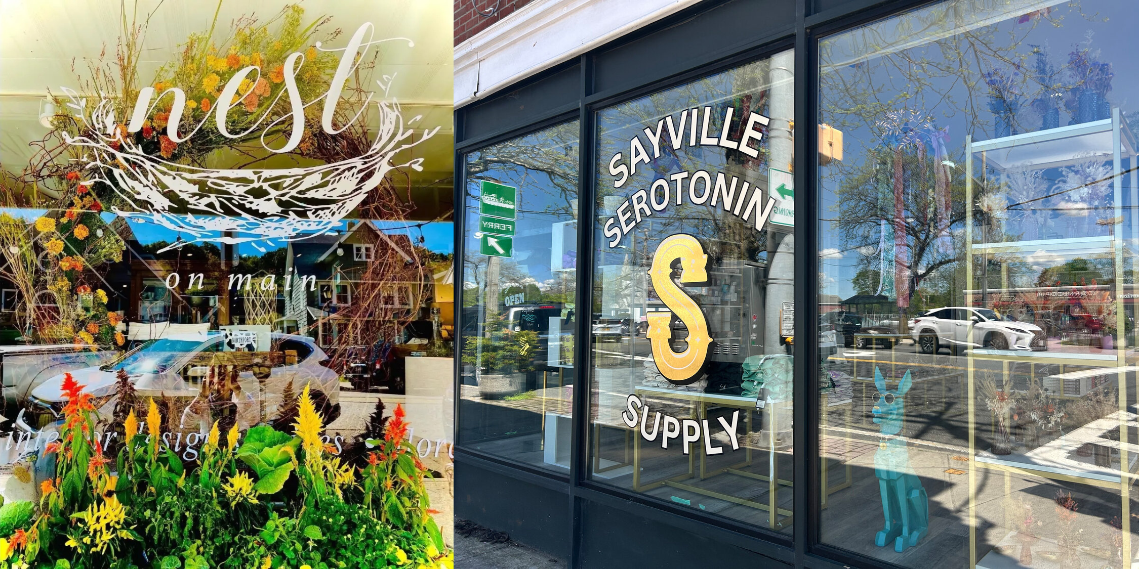 Nest on Main and Sayville Serotonin Supply