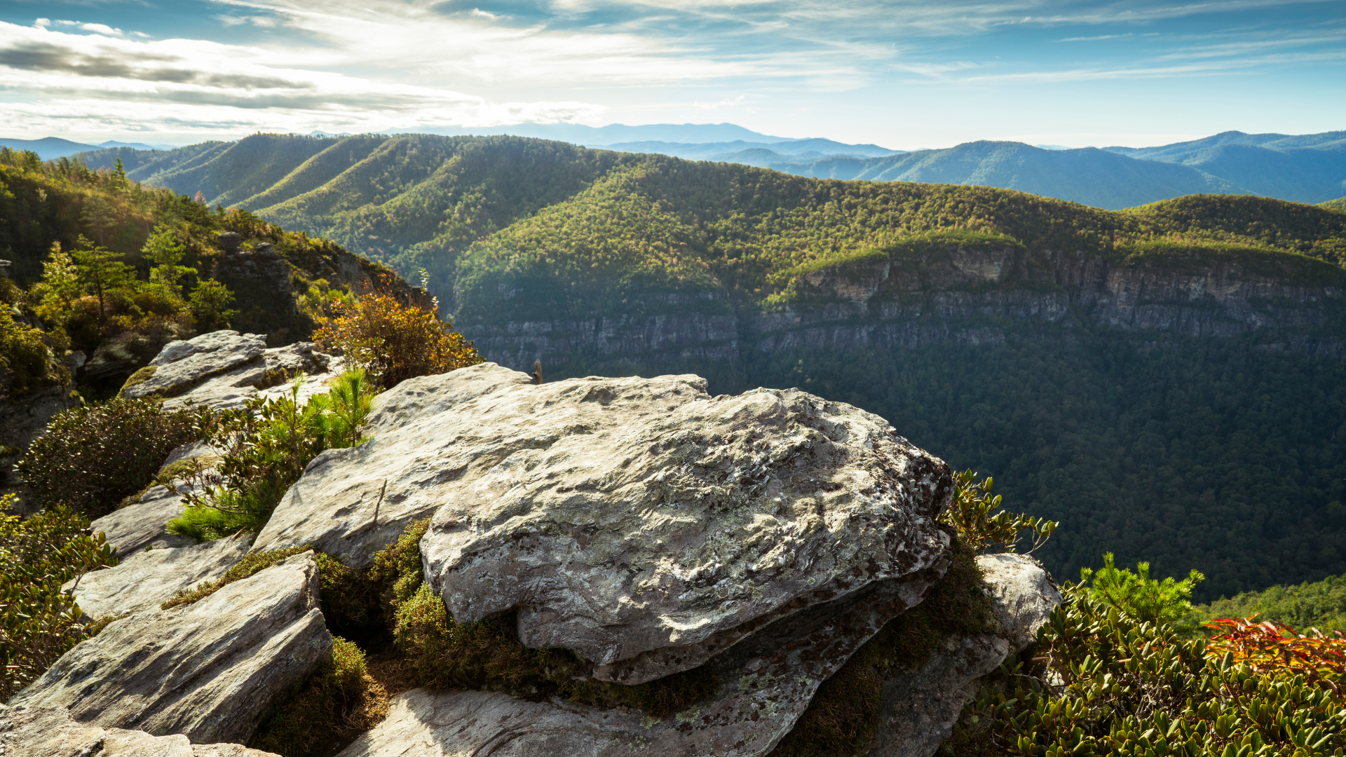 The Charm of Brevard
