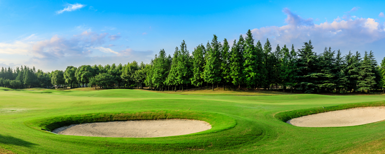 Enjoy golfing in Asheville, NC