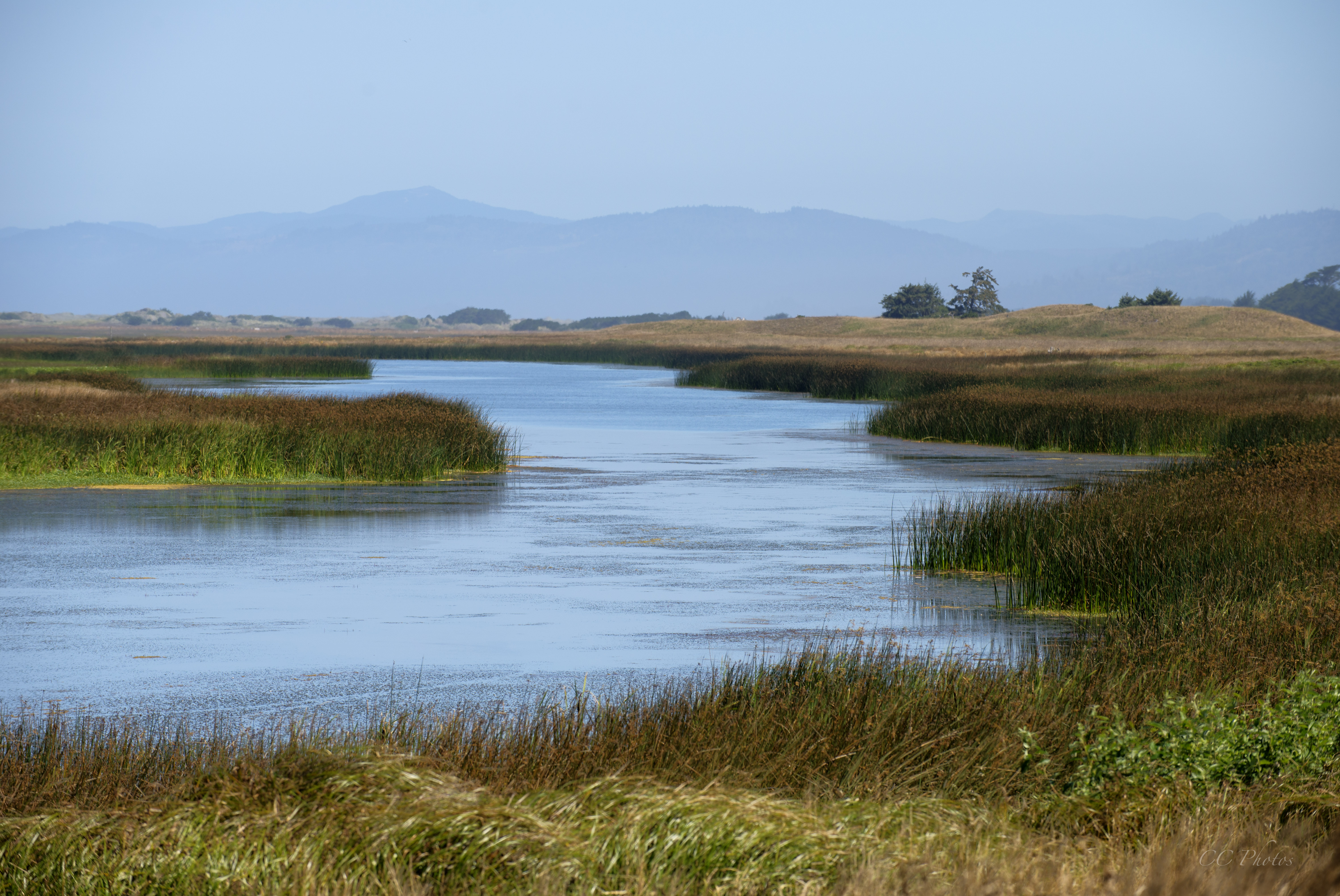 Smith River Real Estate