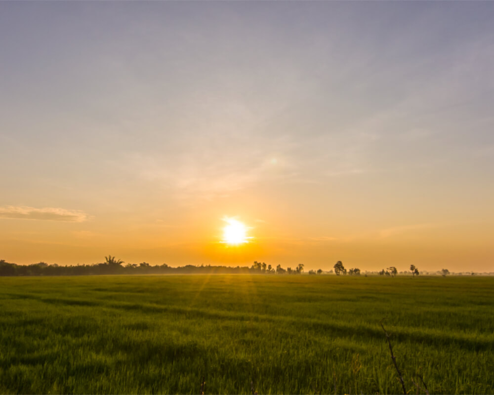 DFW Acreage Real Estate