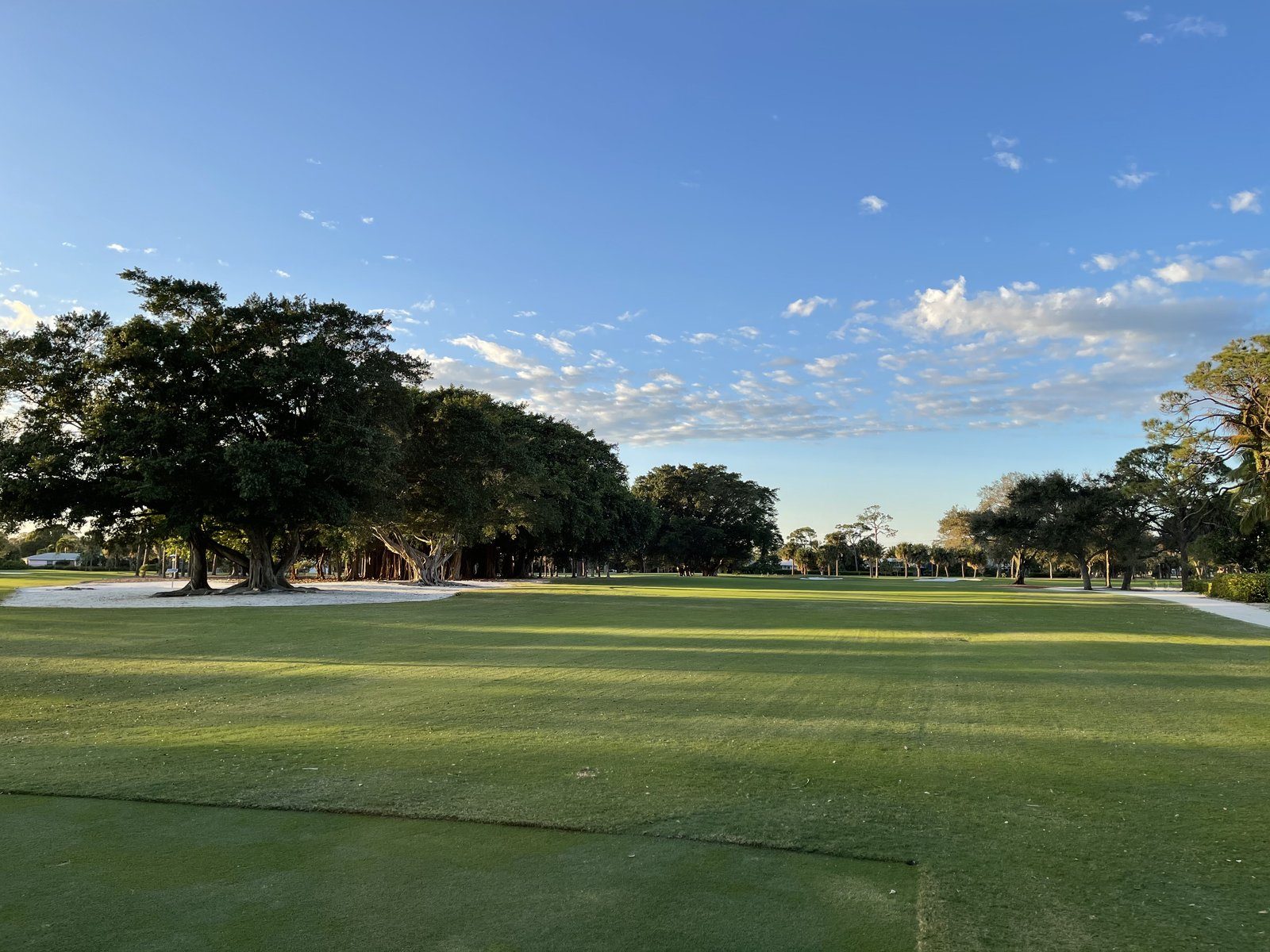 A fairway in soft evening light
