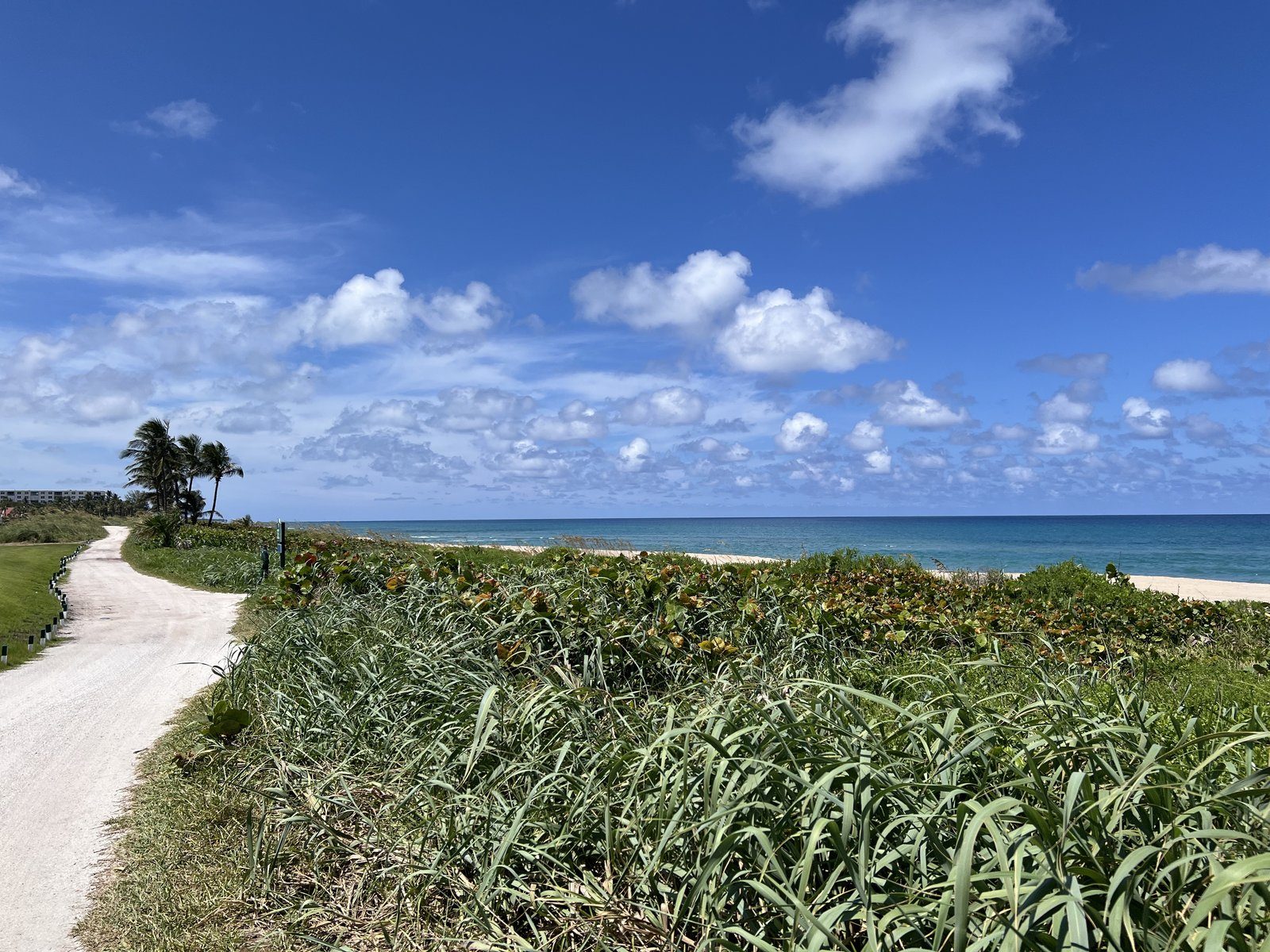 A par 3 beside the dunes