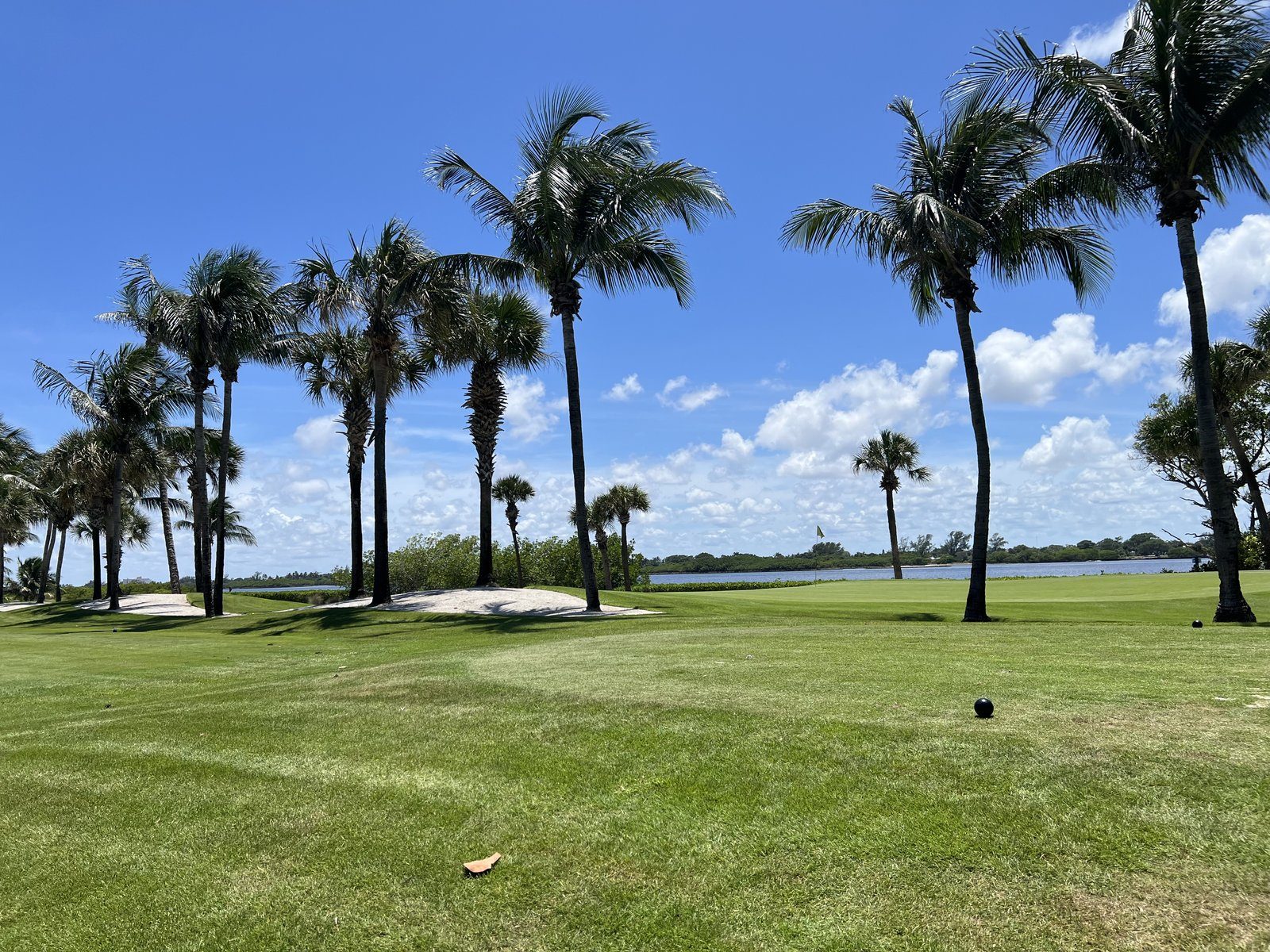 A golf hole lined with palms