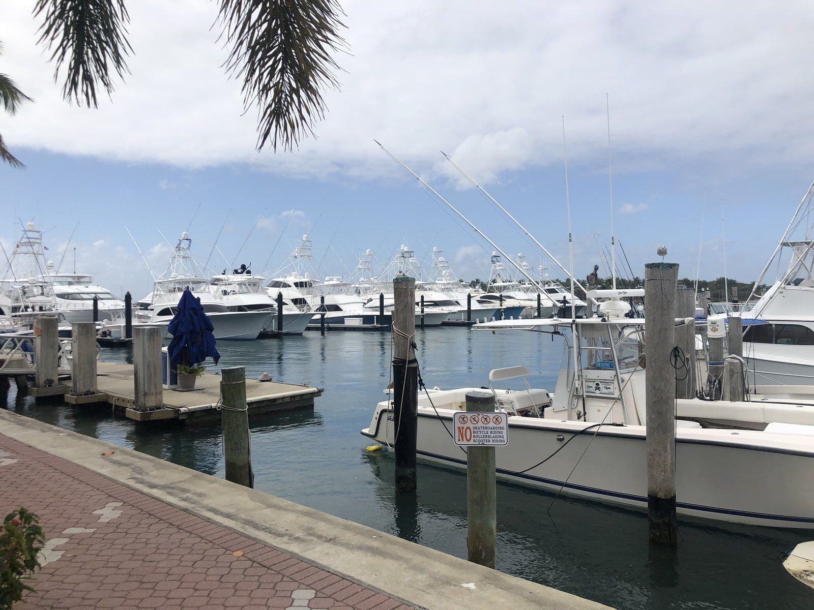 Boats at a marina dock