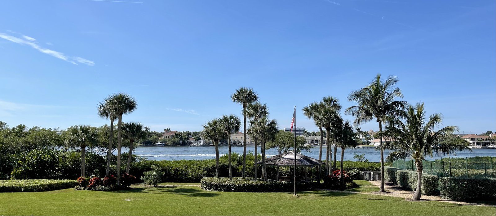 Palms along a lagoon