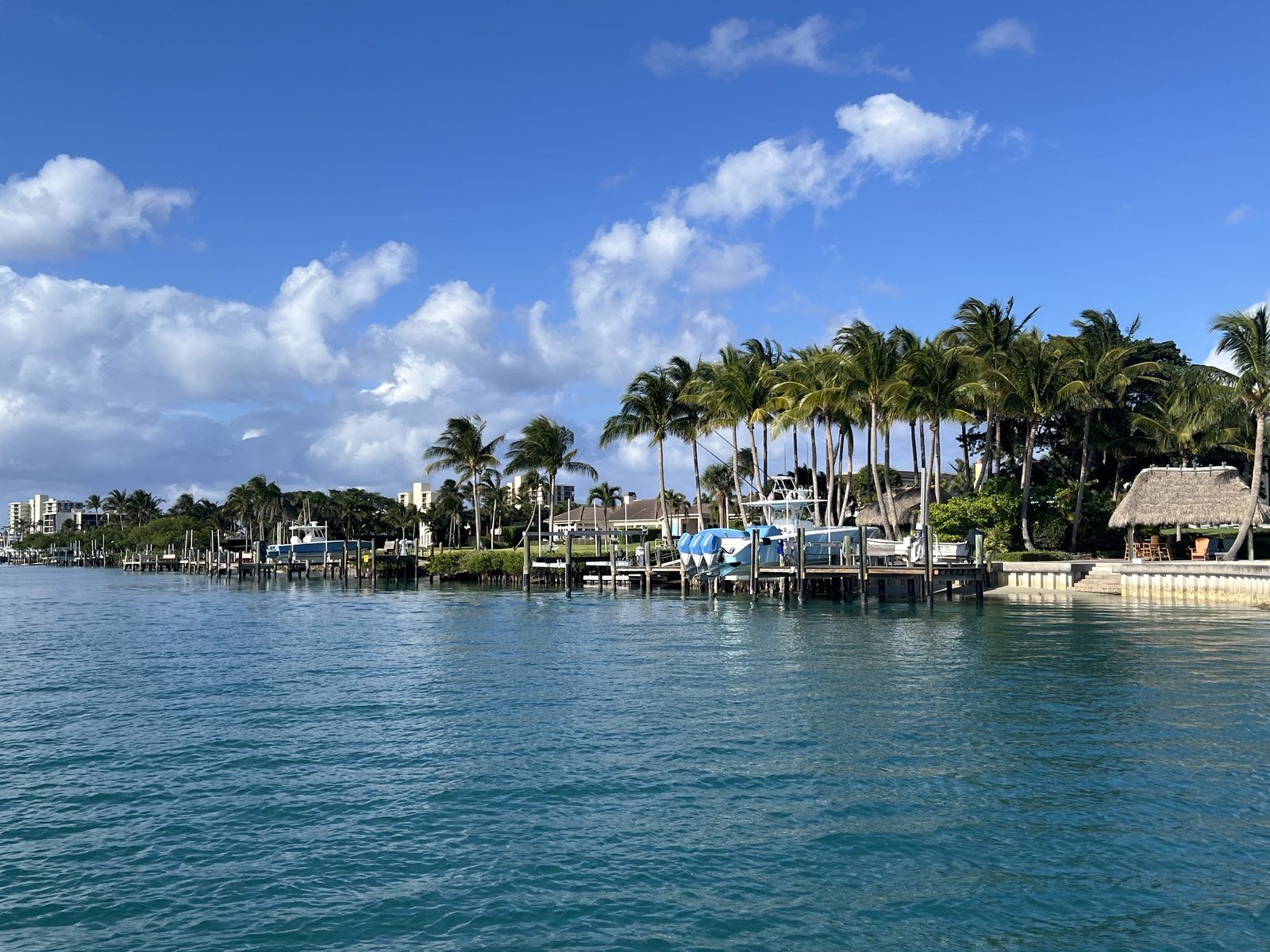 Docks and palms along the water in Jupiter