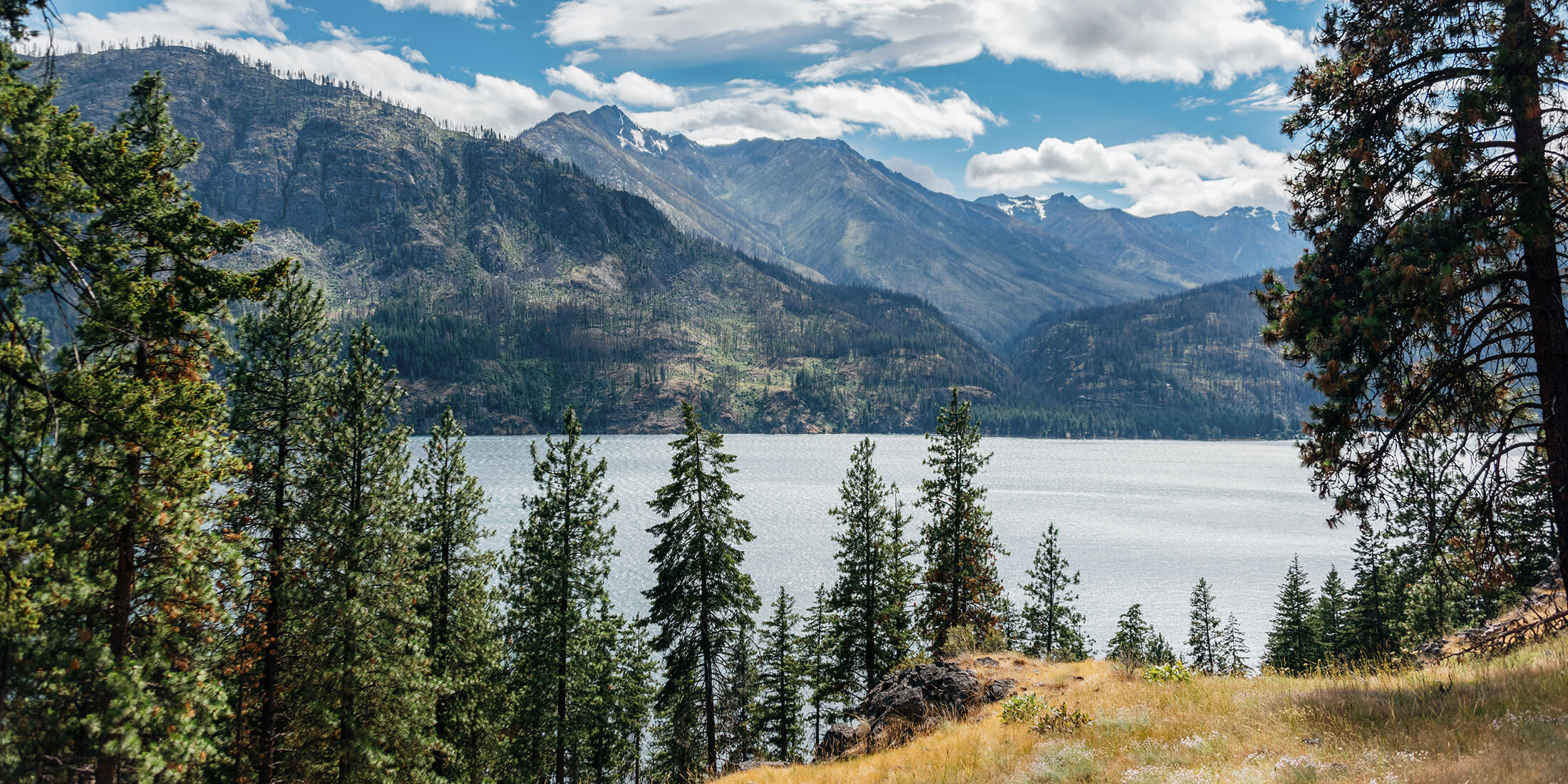 Cashmere Real Estate Market Report