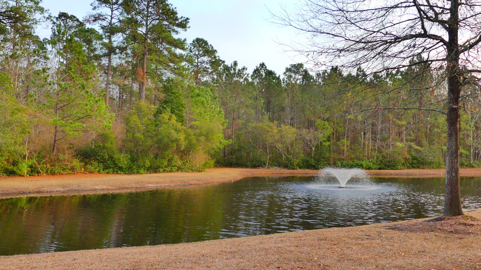 True Blue Golf Resort Condos for Sale Pawleys Island