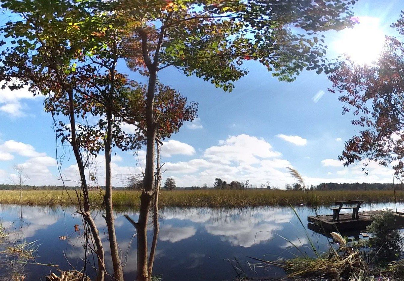 Black River Retreat Homes For Sale