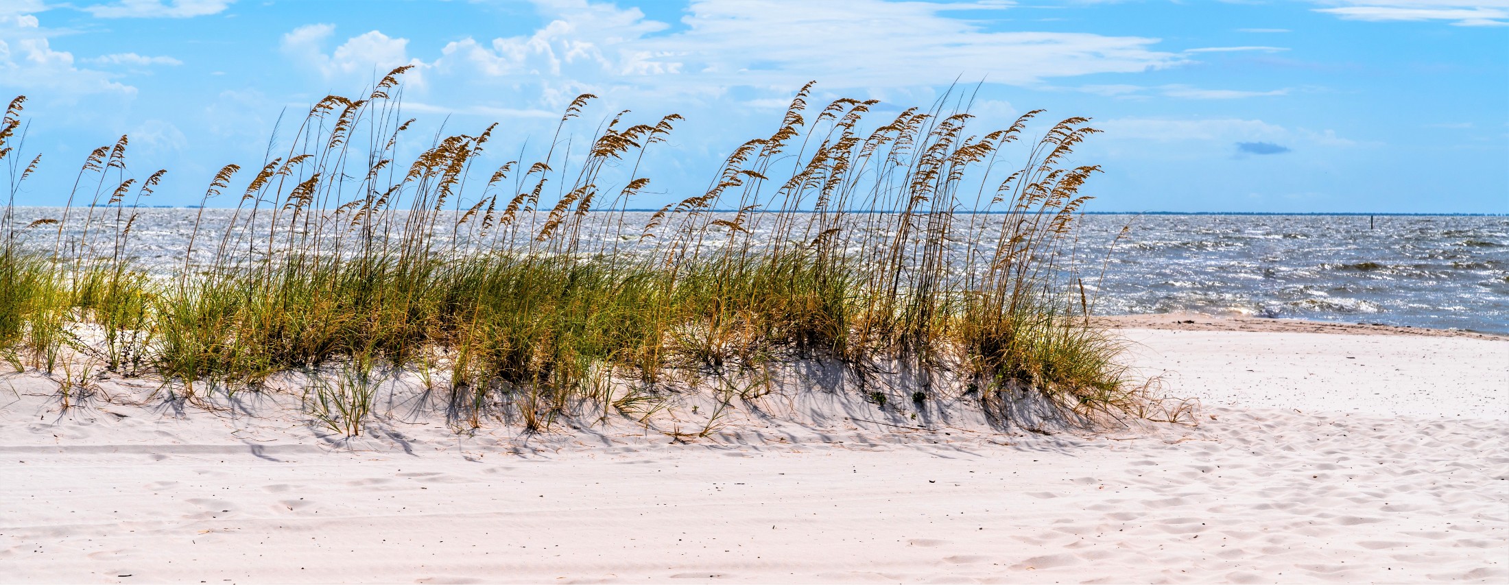 Mississippi Real Estate Mississippi Homes for Sale