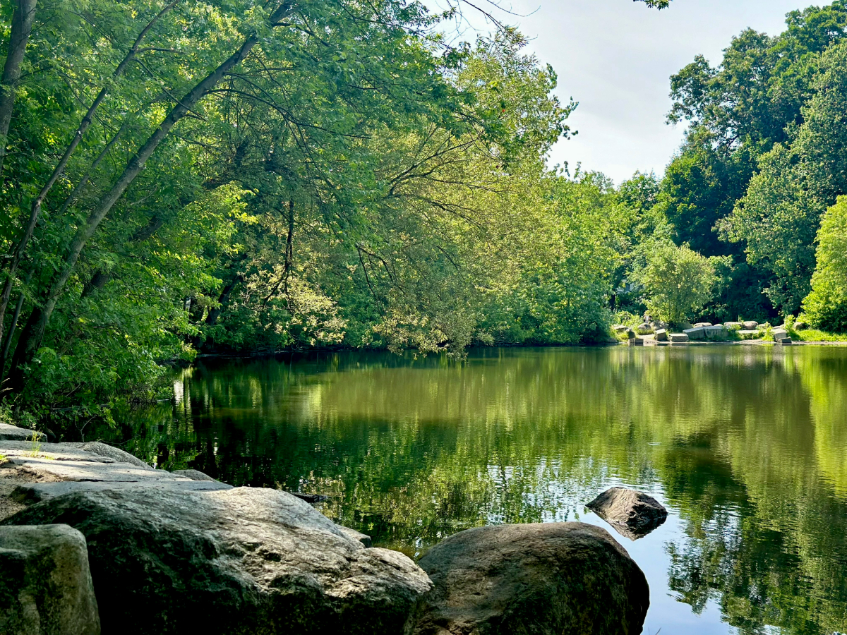 An in-person photo of Menotomy Rocks Park in Arlington MA. 