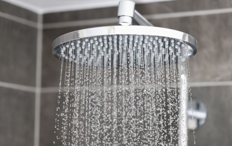 Don't test the toilet plumbing at an open house