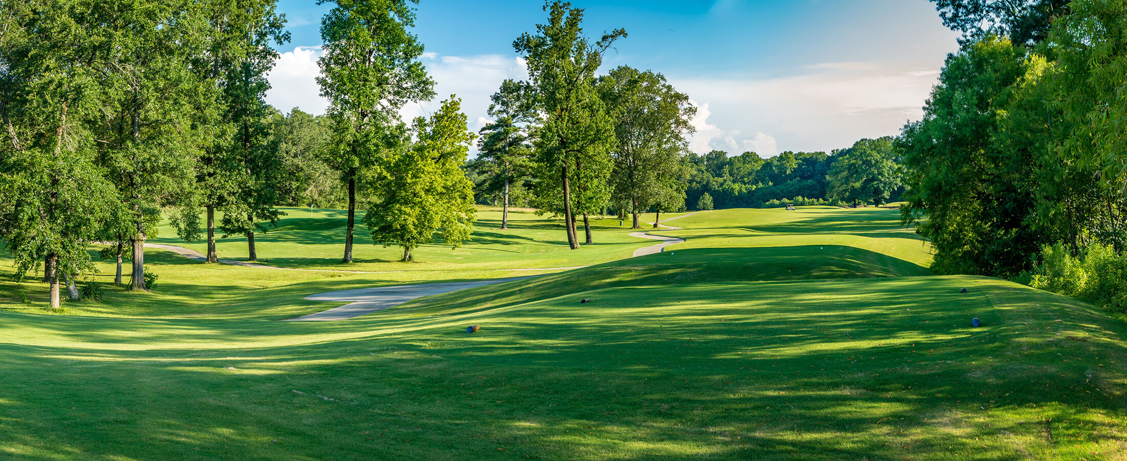 New Homes for Sale in in Westfield Estates