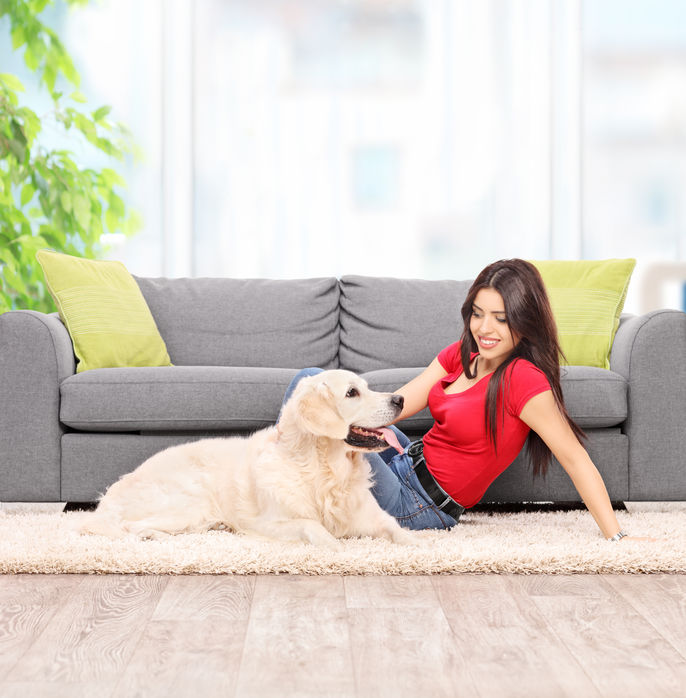 How to Make Your Berks County Home PetFriendly
