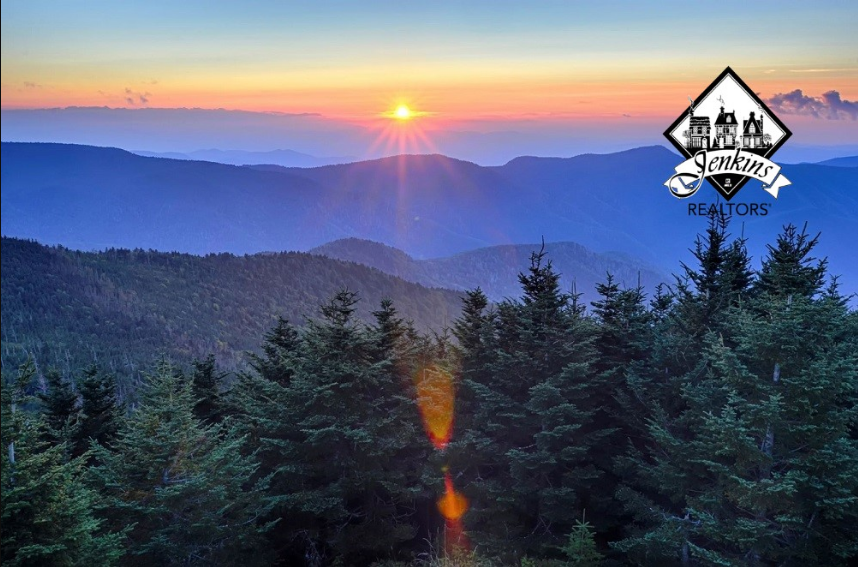 Jenkins Realtors Quick & Easy search