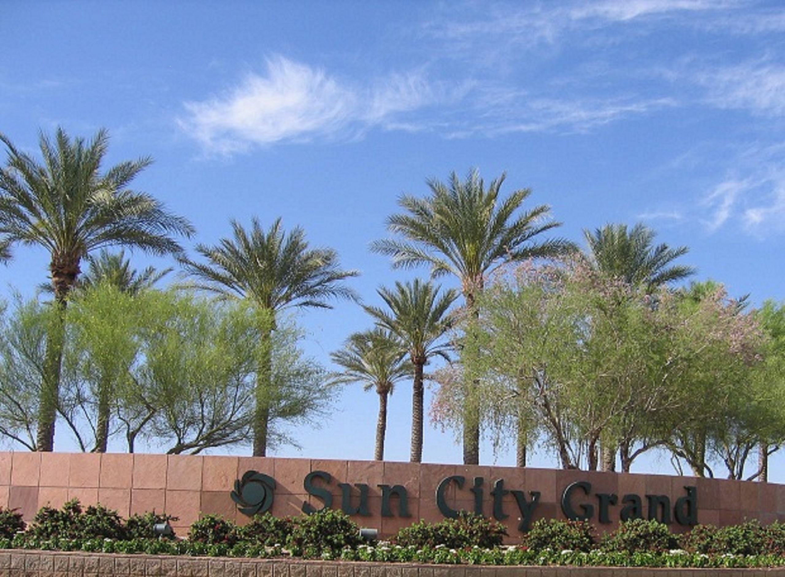 Homes For Sale Sun City Grand Surprise Az 85374 85387