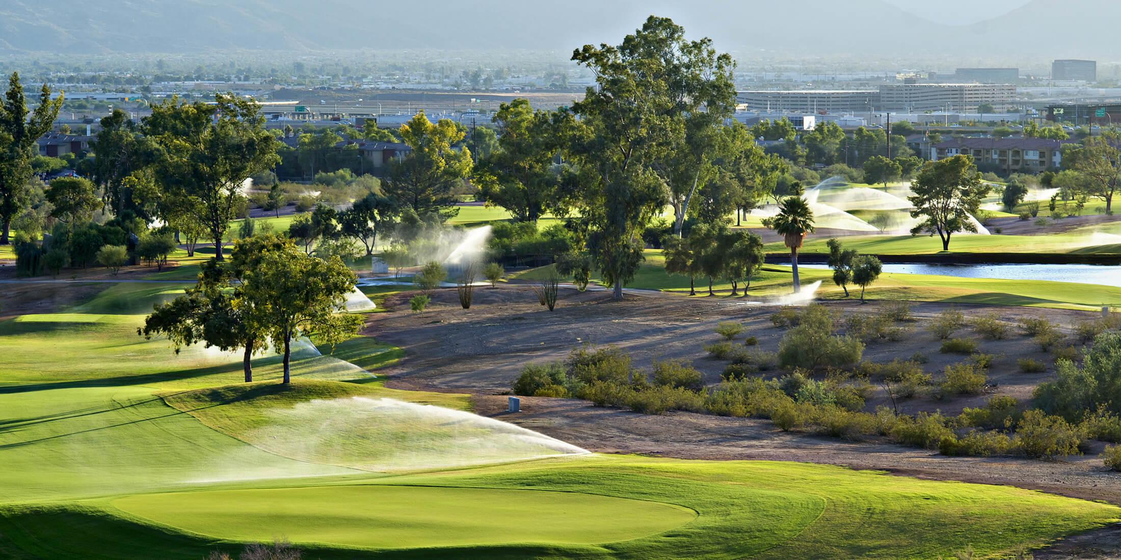 Sun City Festival Real Estate Sun City Festival Homes For Sale