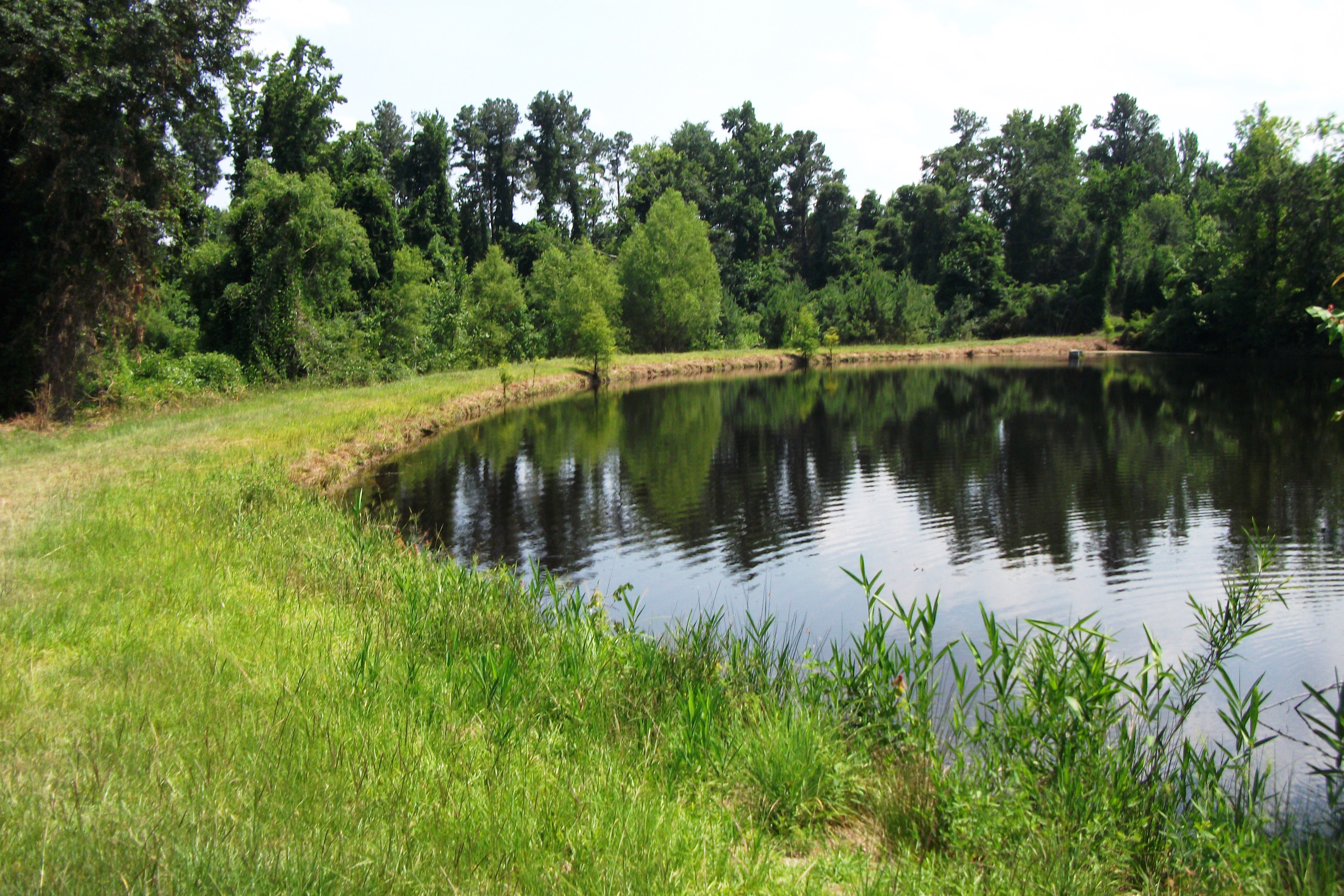 172 Town Square, Saint Matthews, SC 29135