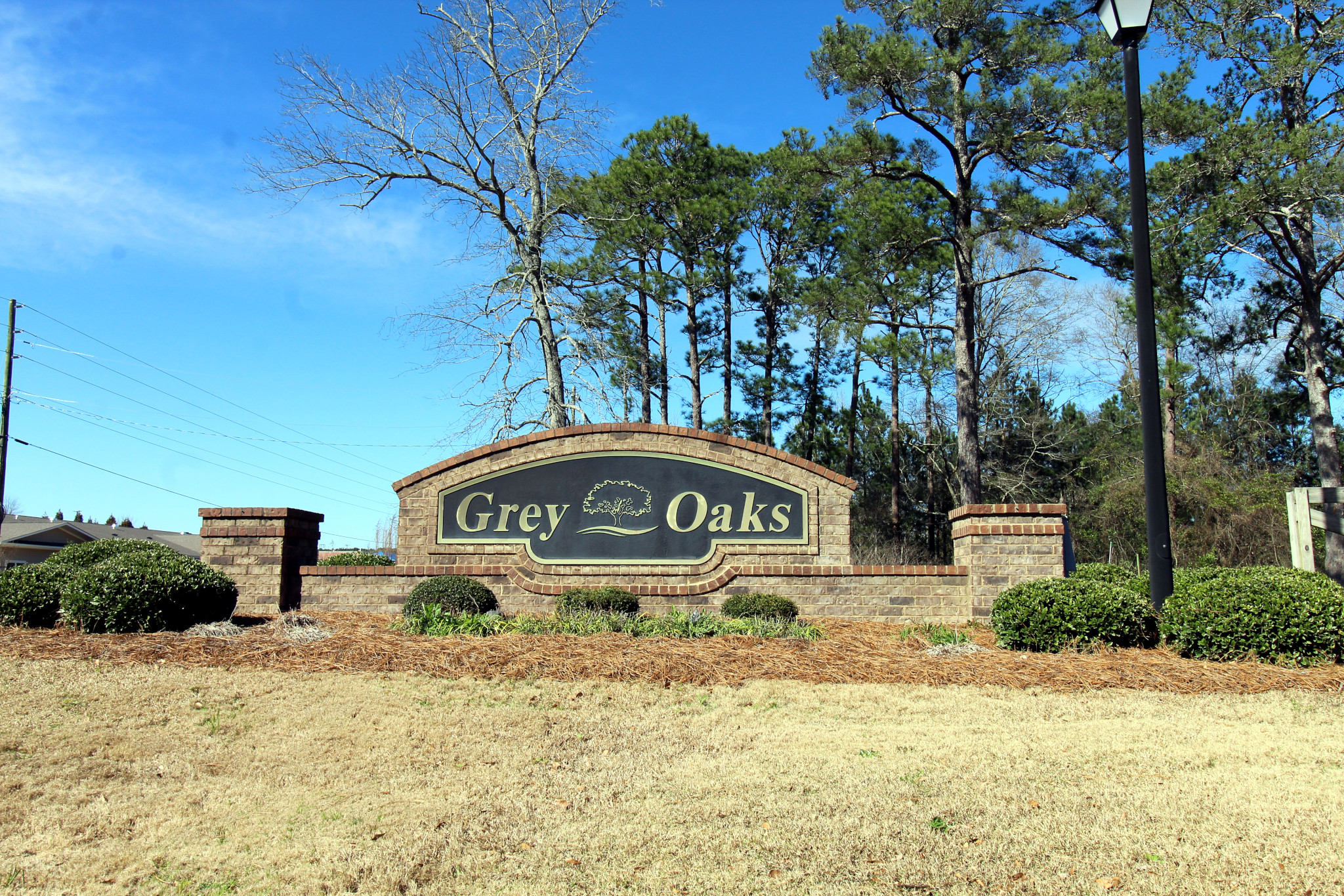 626 Meadow Grass Lane In Lexington Sc House For Sale