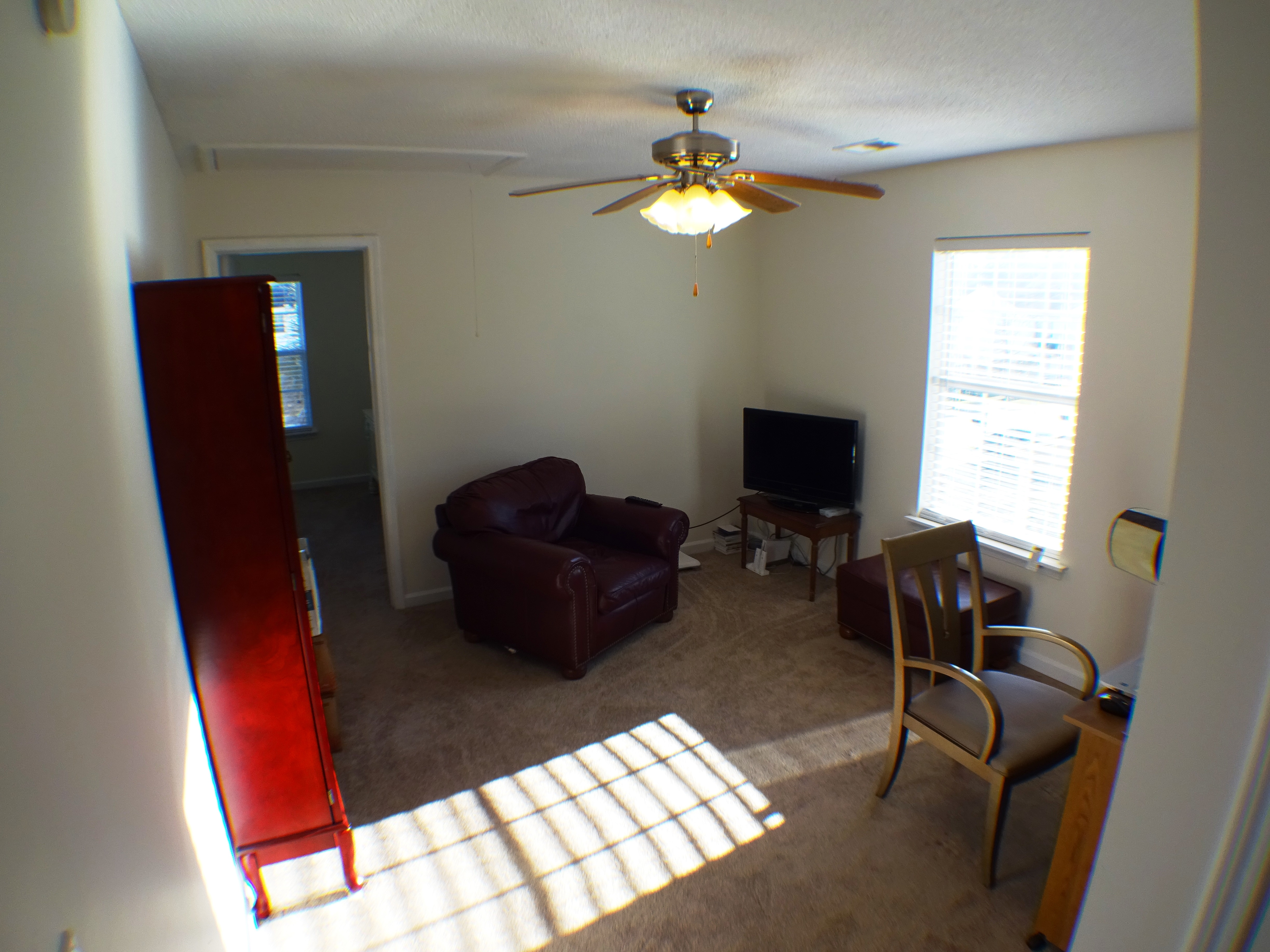 117 Wingspan Way, Chapin, SC 29036