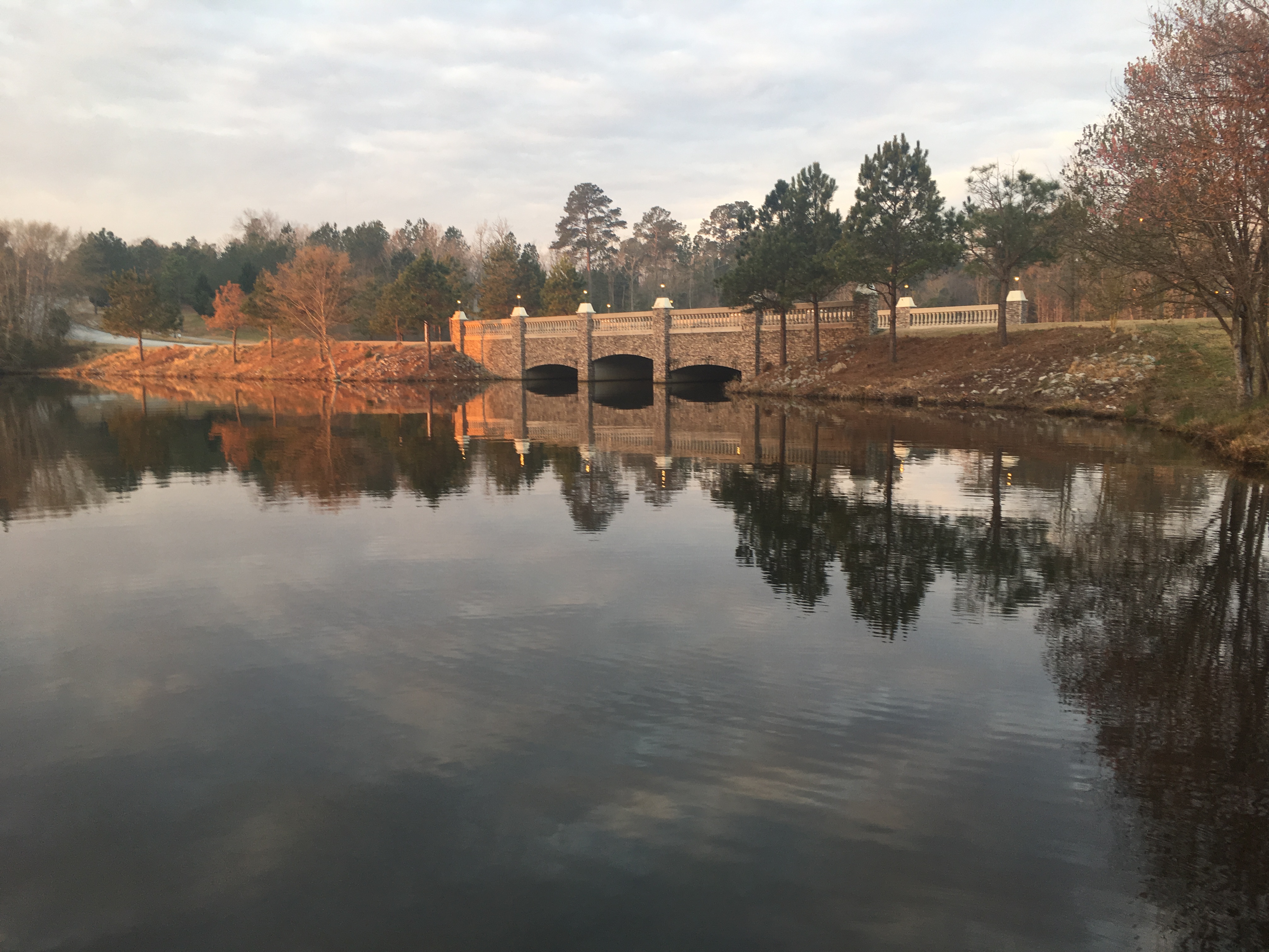 Homes for Sale in Lake Carolina Columbia, SC