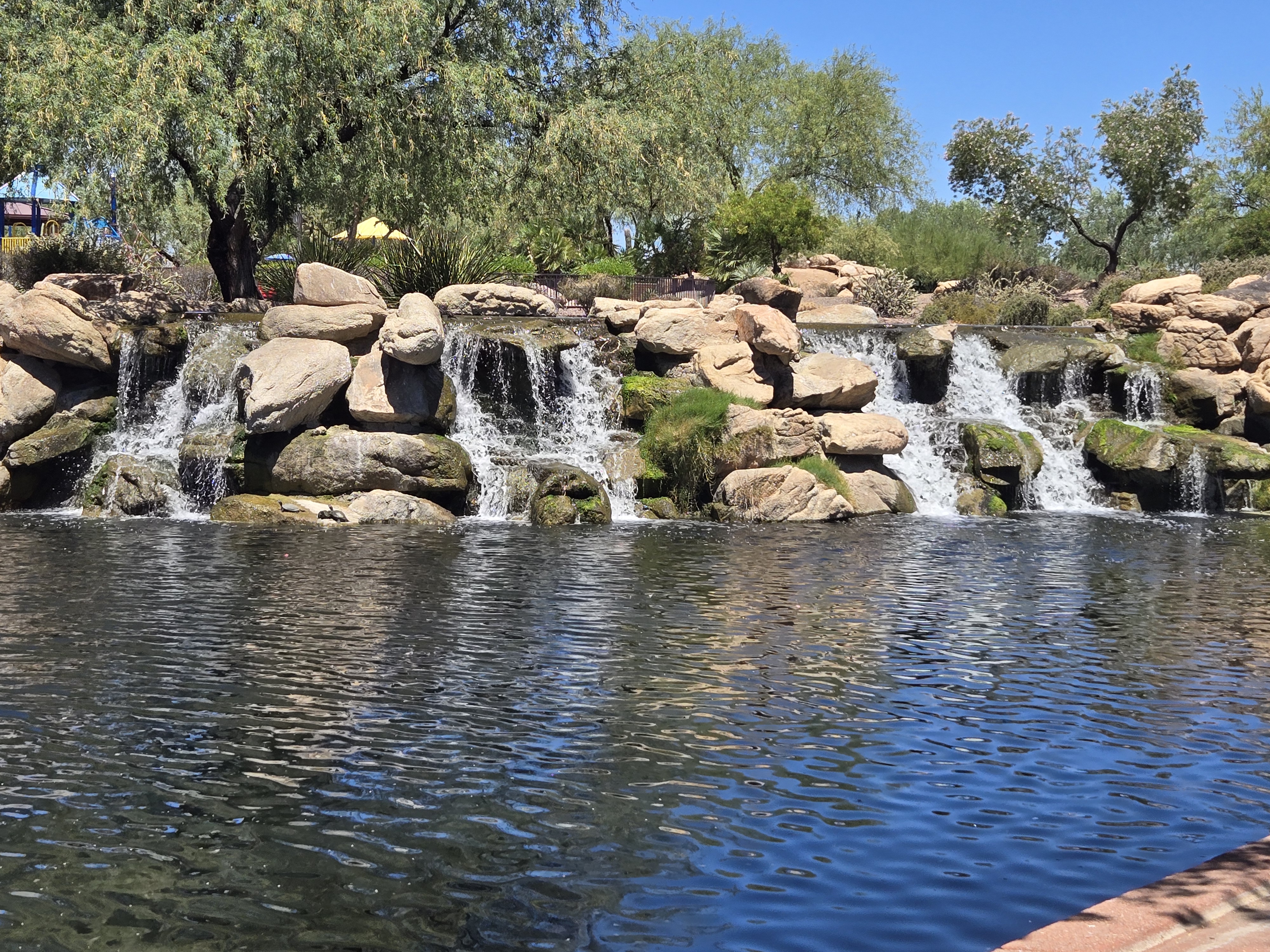 Anthem Community Park