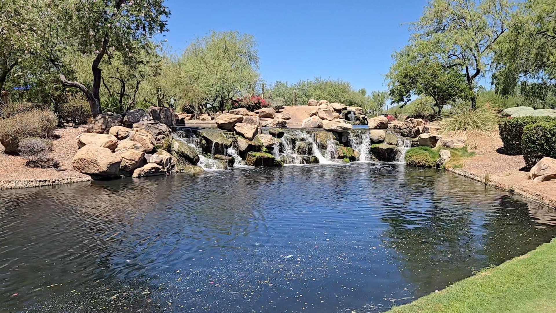Anthem community park