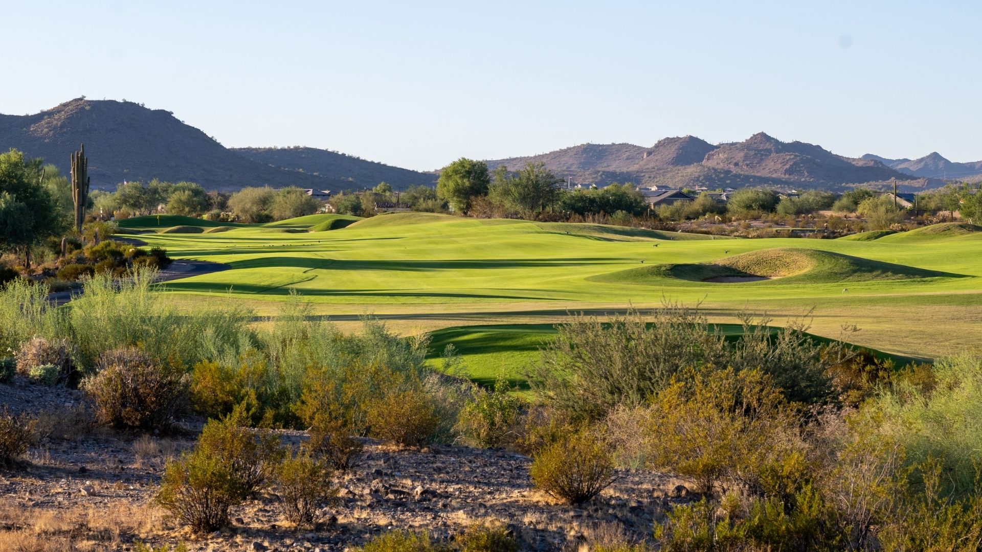 Blackstone Golf Course