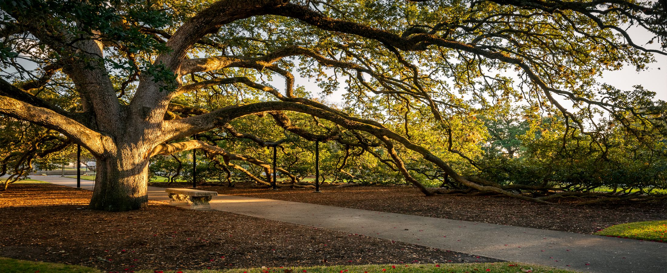 College Station & Bryan Real Estate College Station & Bryan Homes for