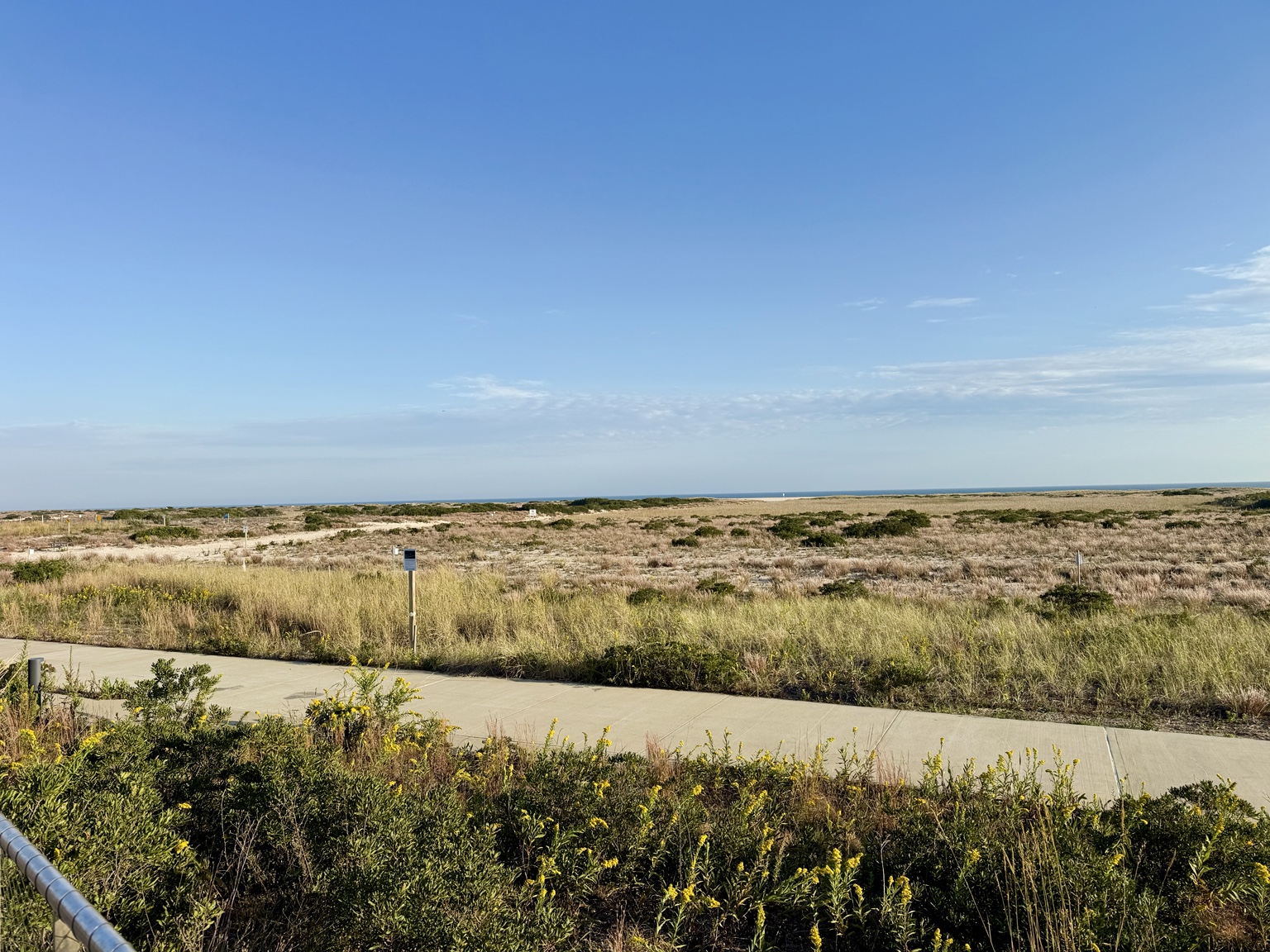 Atlantic Ocean horizon, dune grasses and coastal landscape at Jones Beach West End 2 on Long Island