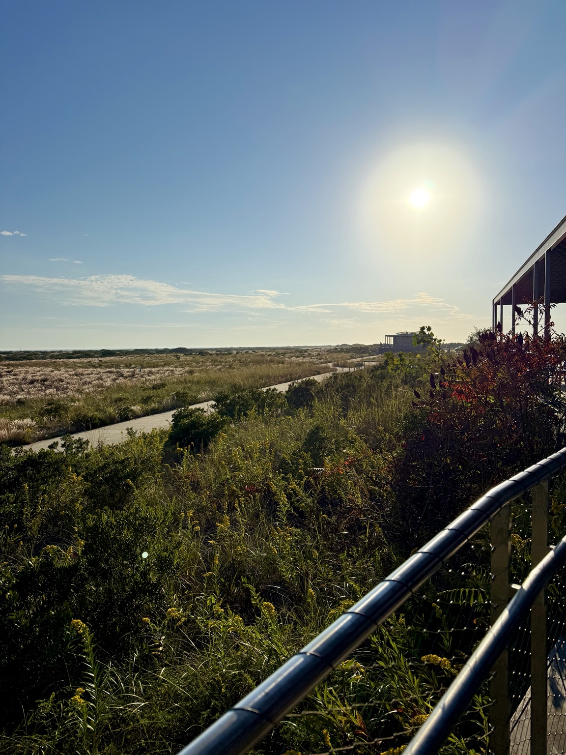Walkway railing, coastal plants and dunes by the Energy and Nature Center at Jones Beach West End 2