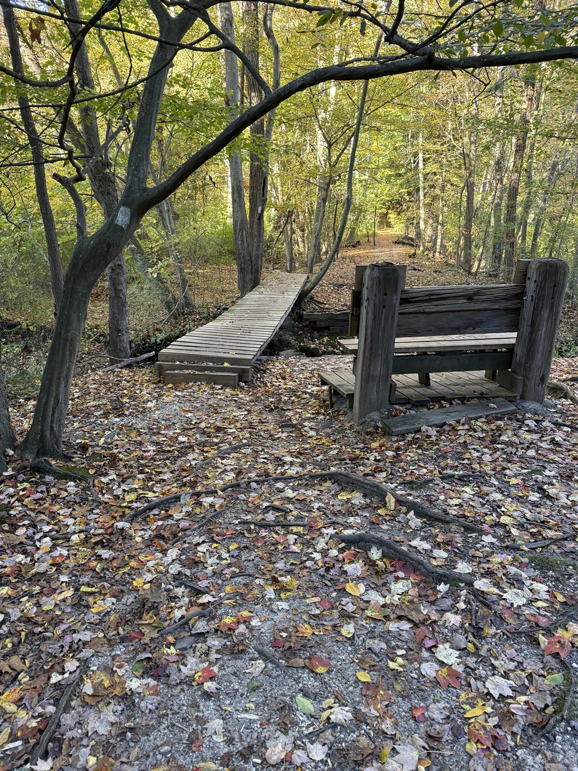 Wooden footbridge and bench amid the hilly woodland of the Nassau-Suffolk Trail