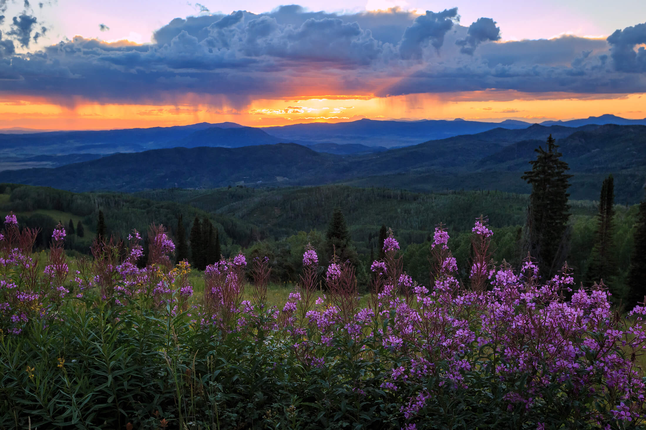 Buying real estate in Steamboat Springs