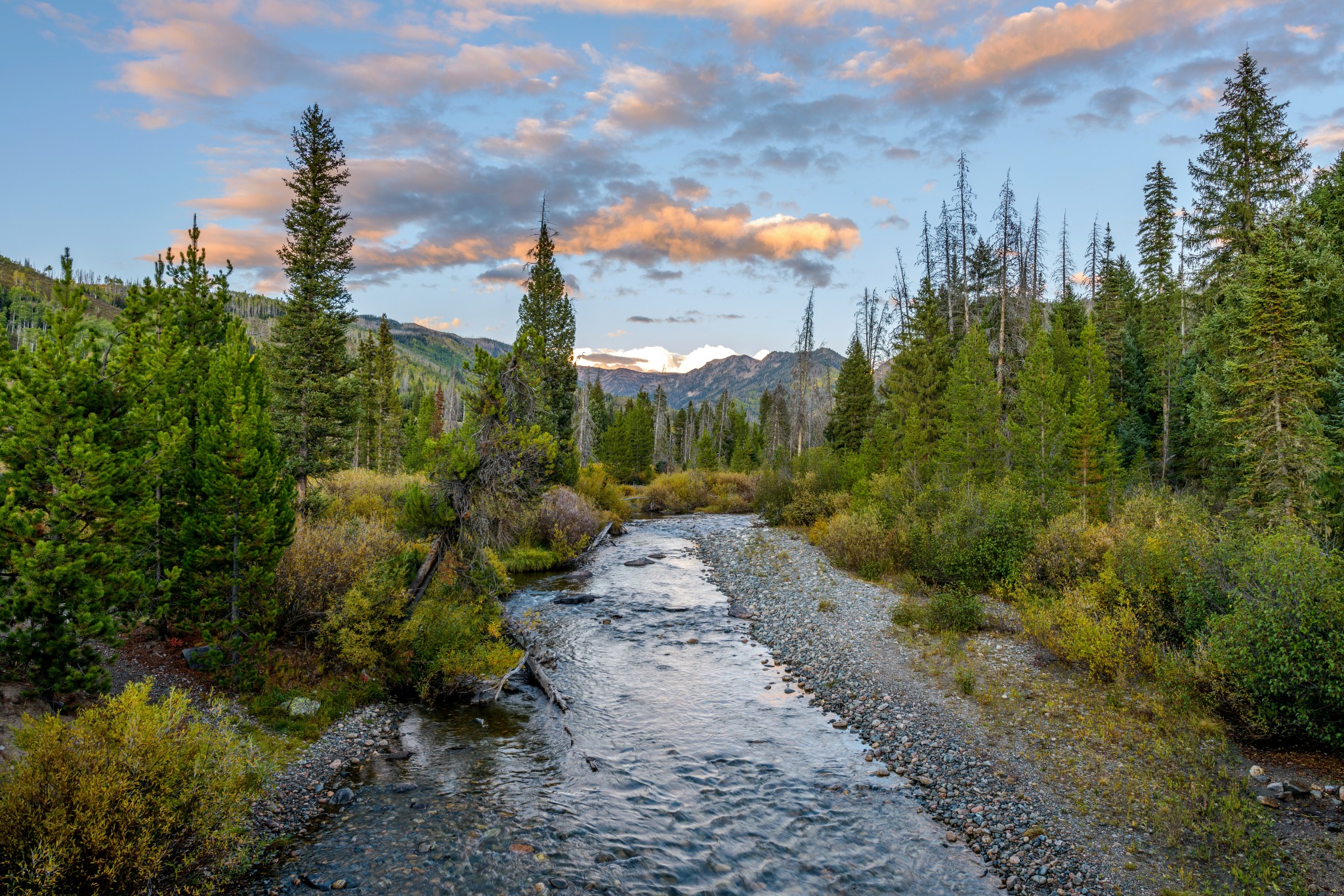 Elk River in the Steamboat Springs and Yampa Valley area