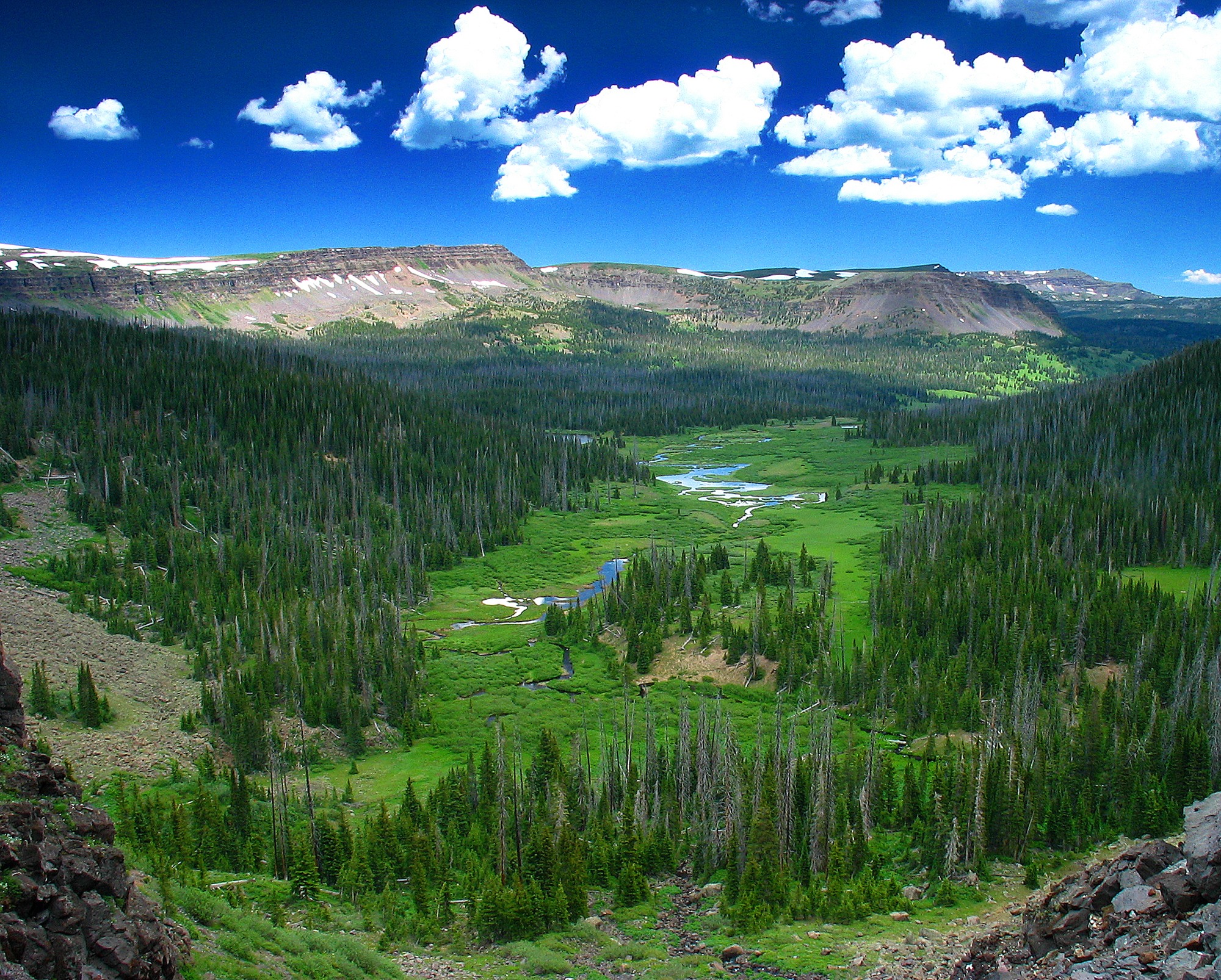 Oak Creek in the Steamboat Springs and Yampa Valley area