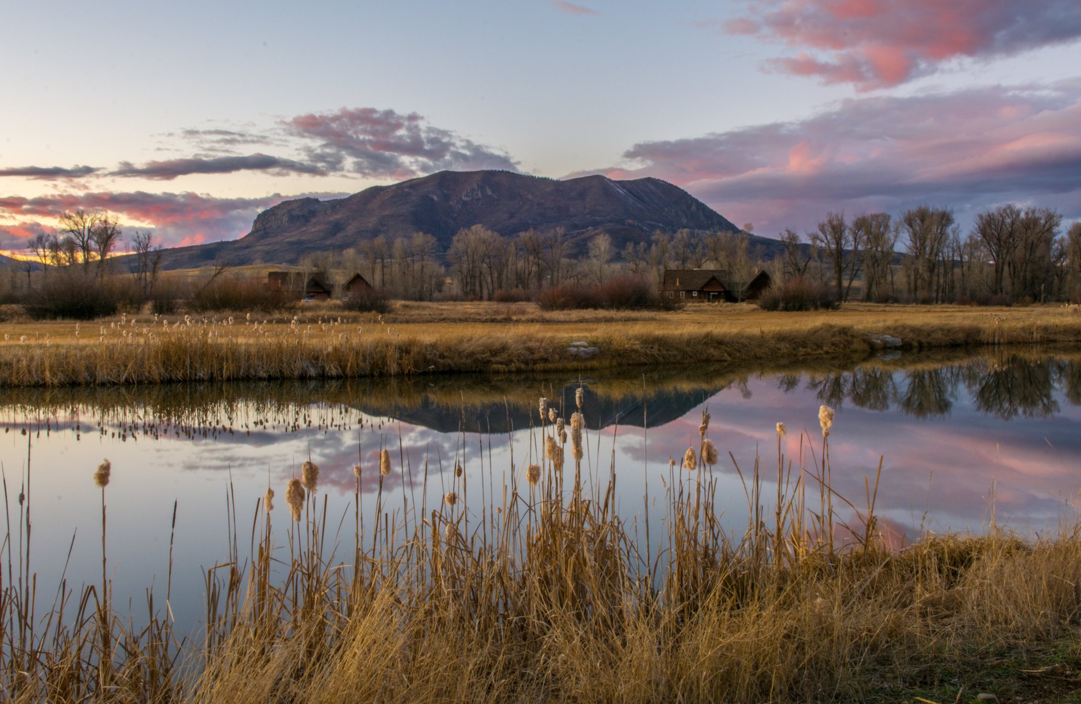 Marabou Ranch landscape in Steamboat Springs