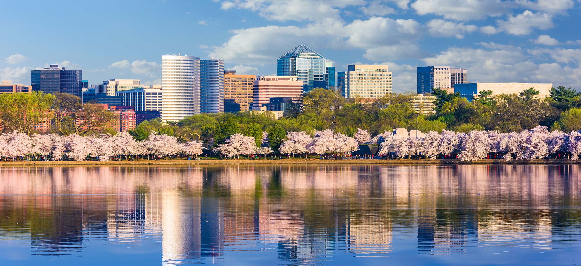 Silver Spring Real Estate Maryland Homes For Sale