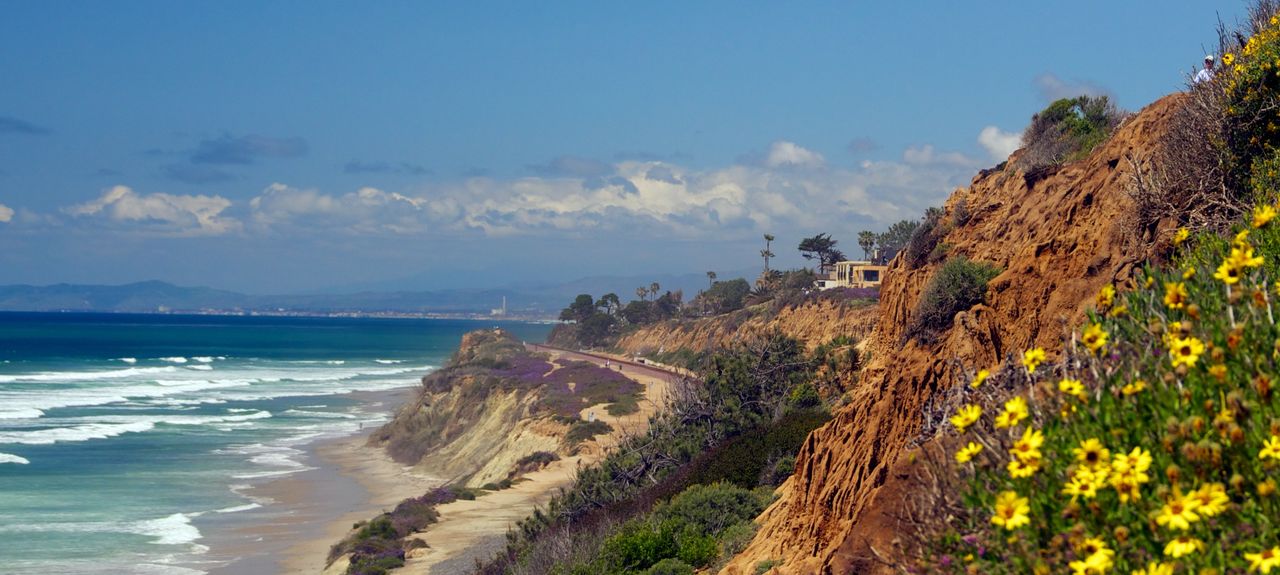 Del Mar Homes For Sale