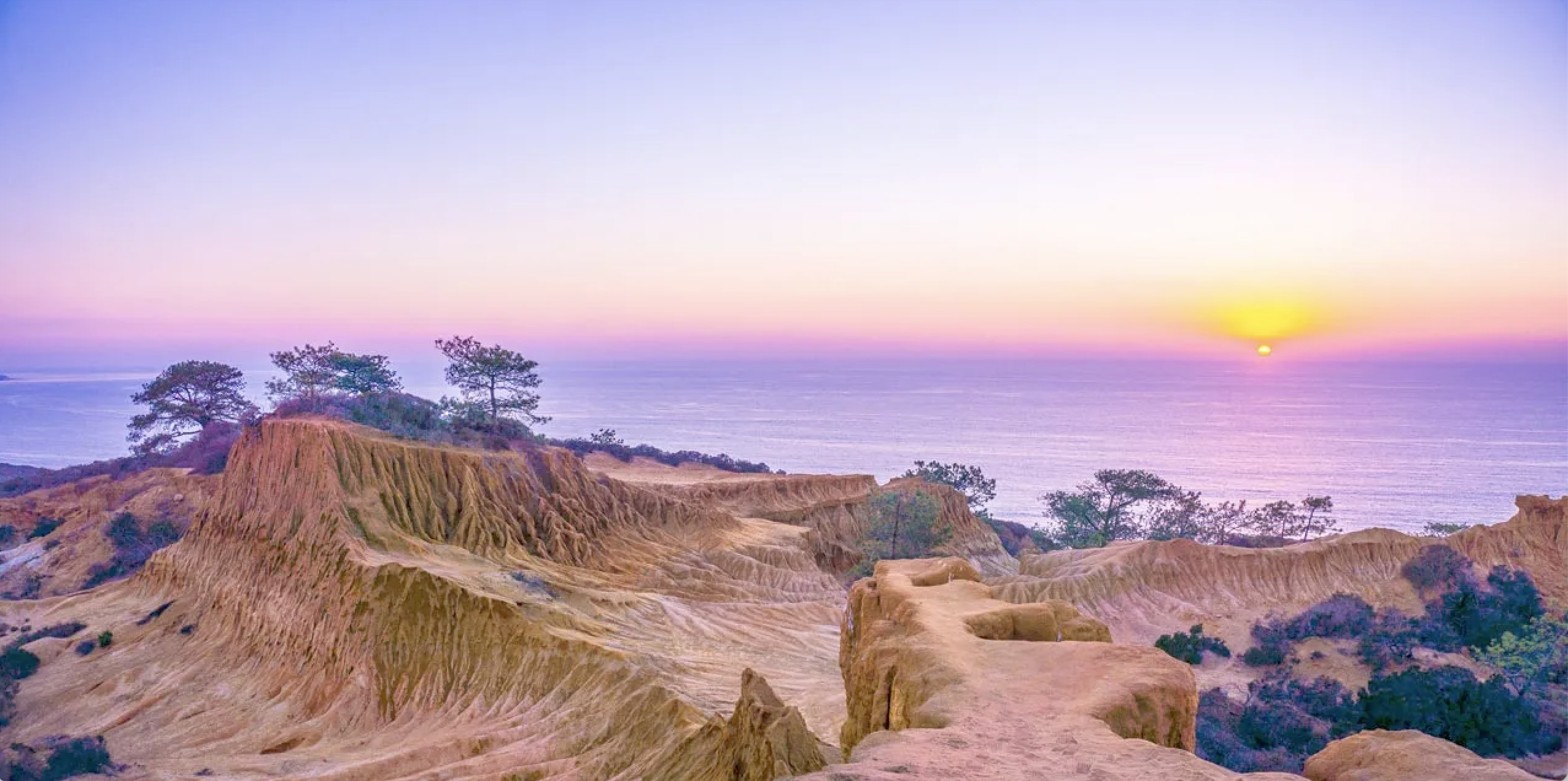 Torrey Pines Natural Reserve