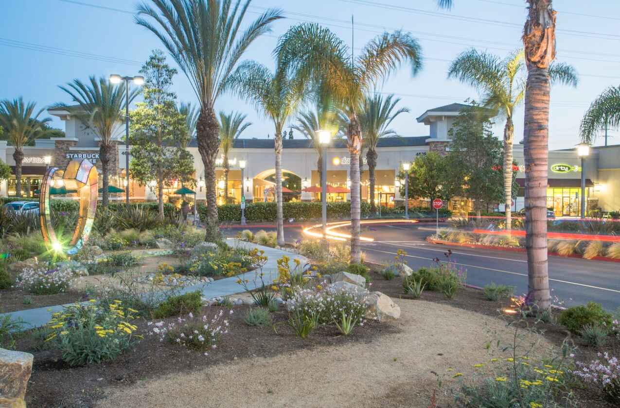 Torrey Hills Neighborhood Guide