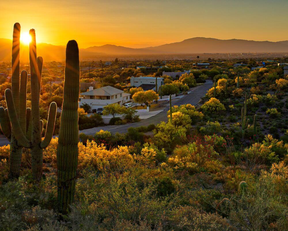 Search Phoenix View Real Estate
