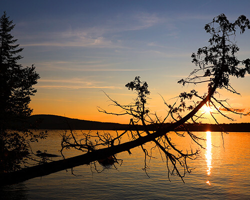 Crooked Lake Real Estate
