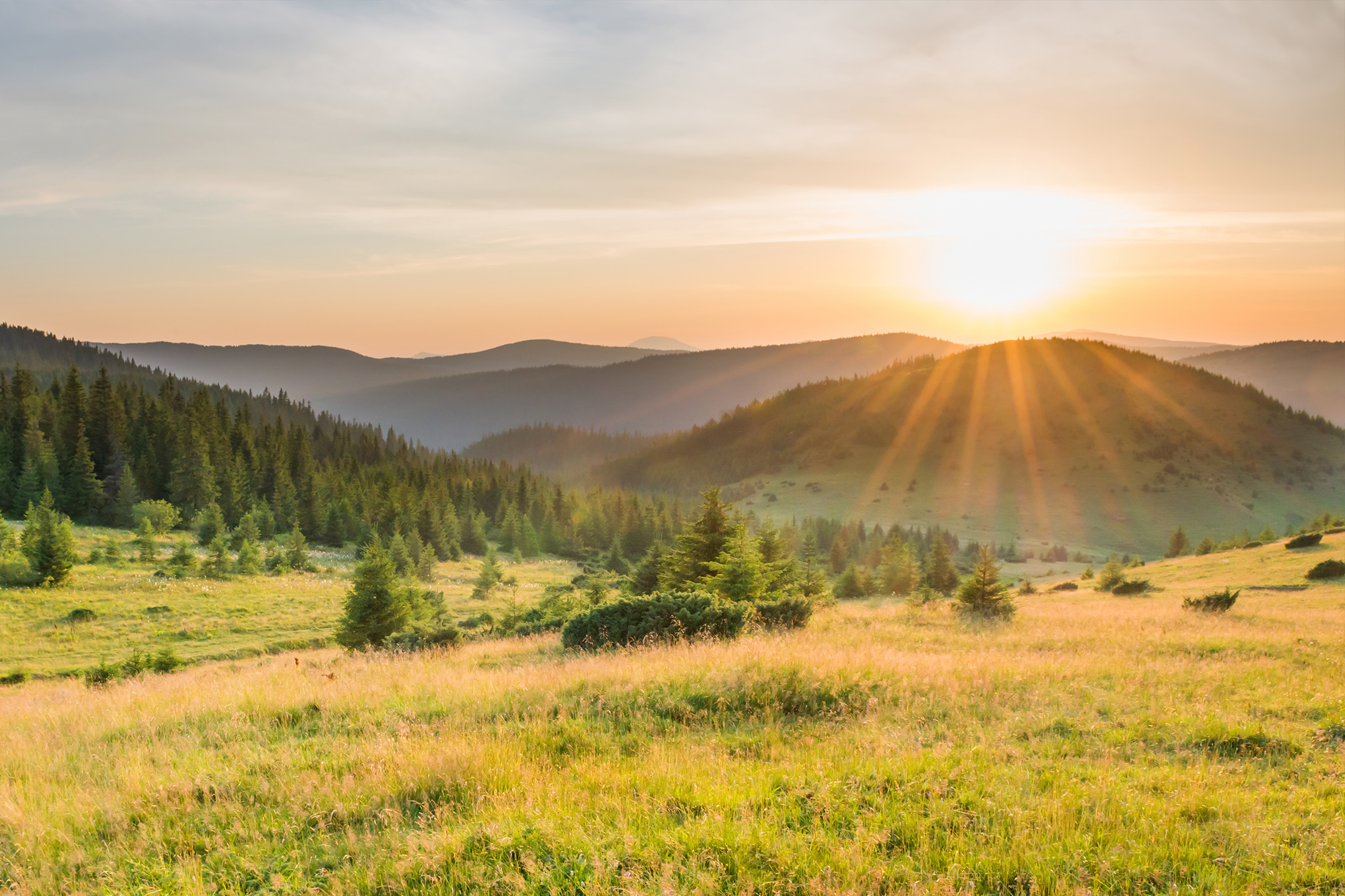 Laurel Springs, NC Land for Sale Laurel Springs, NC Real Estate