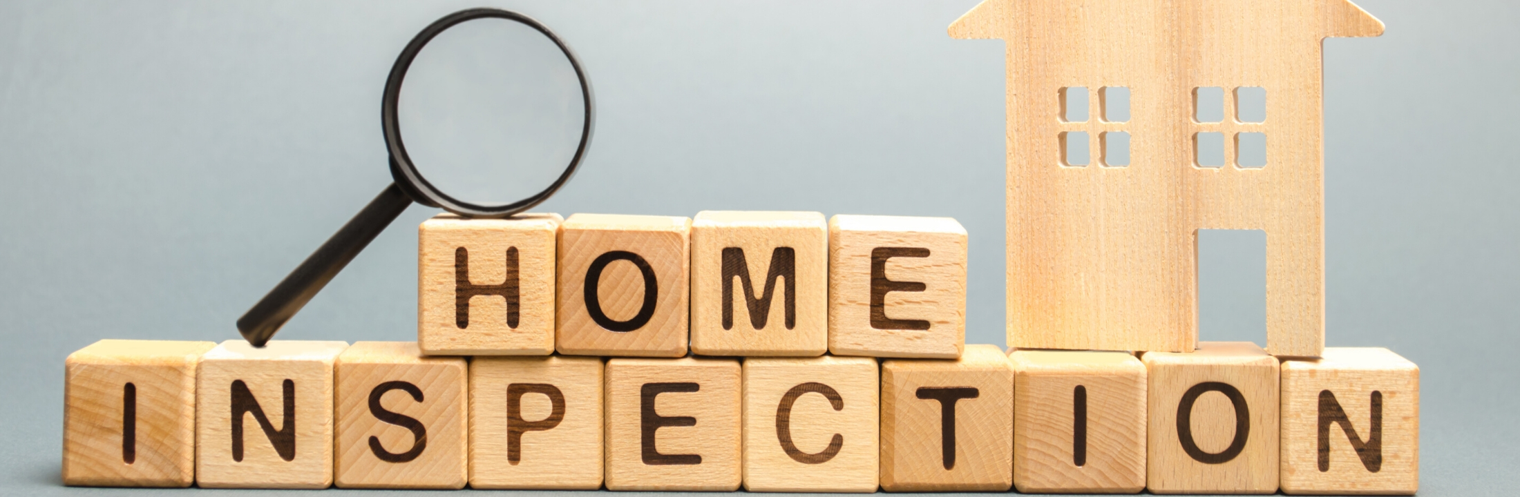 Home Inspectors