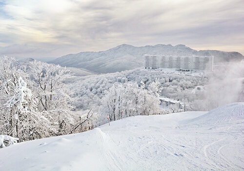 Sugar Mountain Homes for Sale
