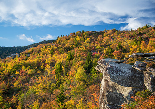 Blowing Rock Homes for Sale