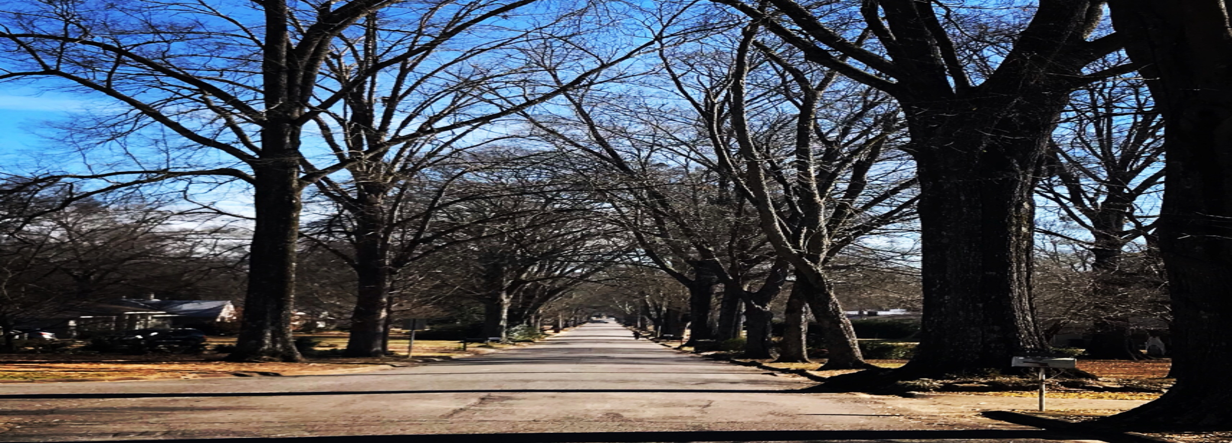 Trussville Neighborhood Guide