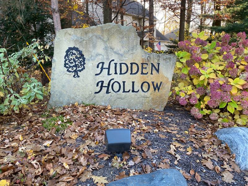 Hidden Hollow